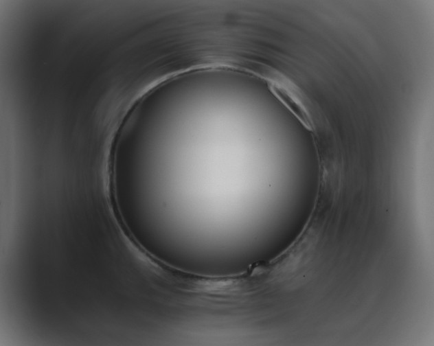 X0000089831143200706281207
