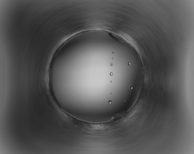 X0000089831144200706281207