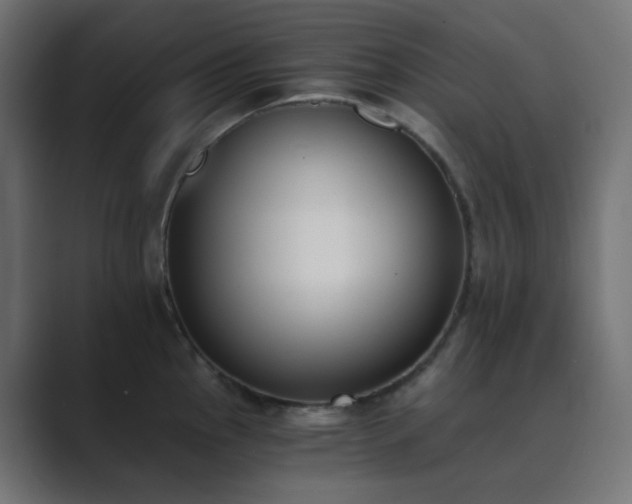 X0000089831145200706281207