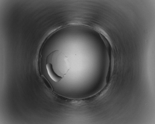 X0000089831146200706281207