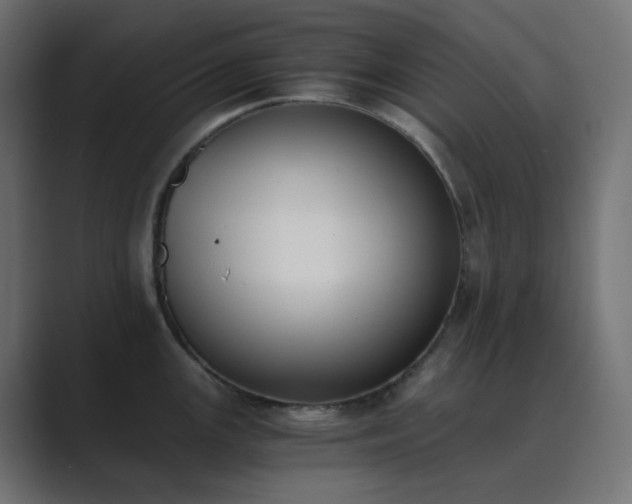 X0000089831147200706281207