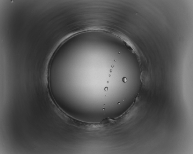 X0000089831148200706281207