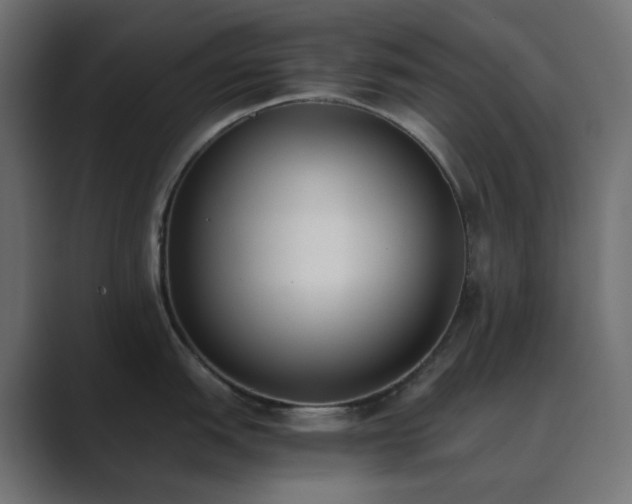 X0000089831151200706281207
