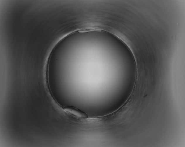 X0000089831152200706281207