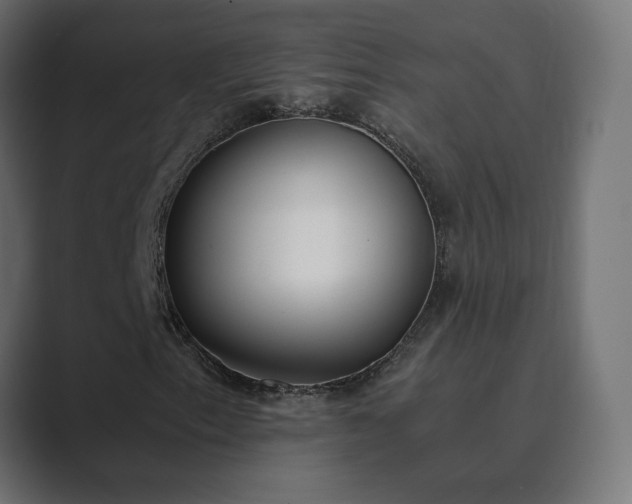 X0000089831153200706281206