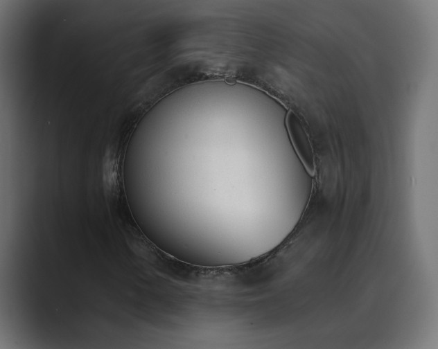 X0000089831154200706281206