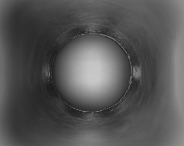 X0000089831155200706281206