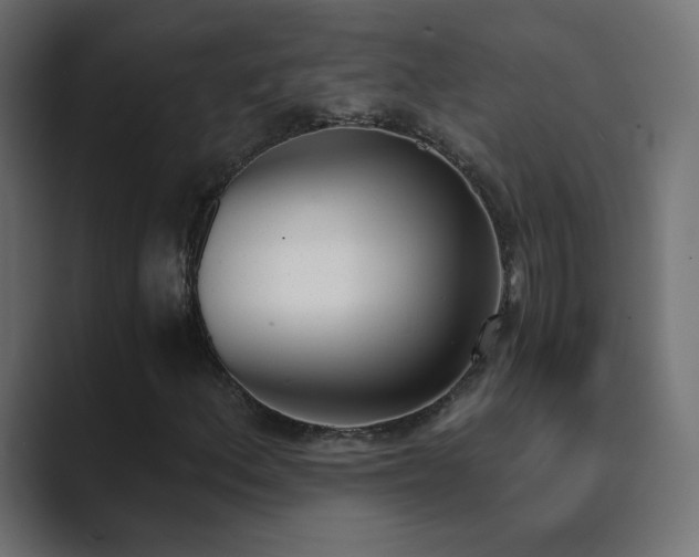 X0000089831156200706281206