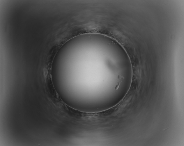 X0000089831157200706281206