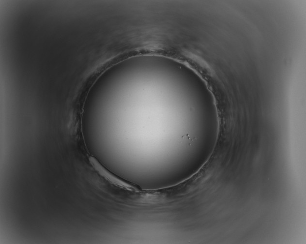 X0000089831160200706281206