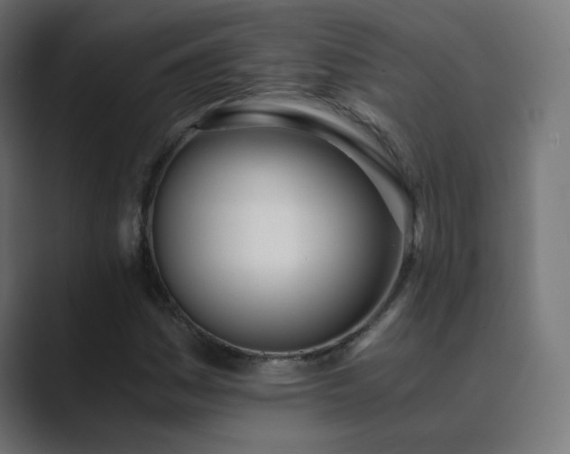 X0000089831161200706281206