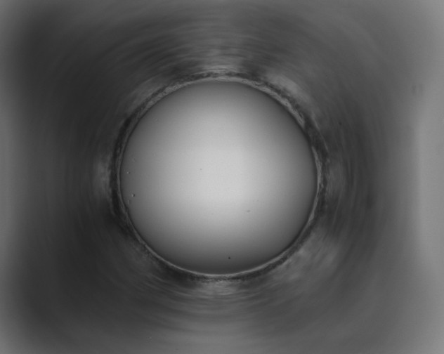 X0000089831162200706281206