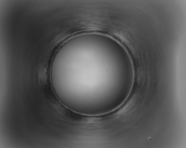 X0000089831163200706281206