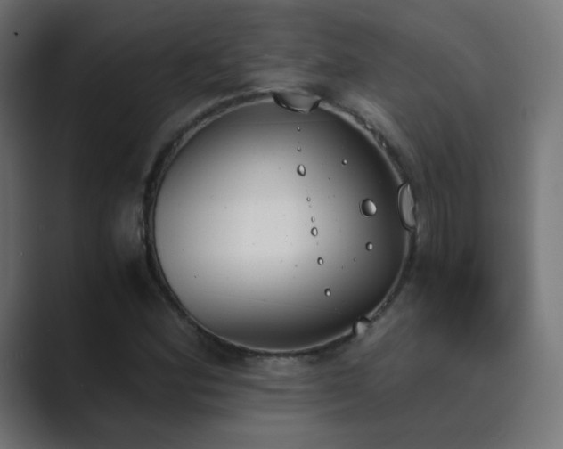 X0000089831164200706281206