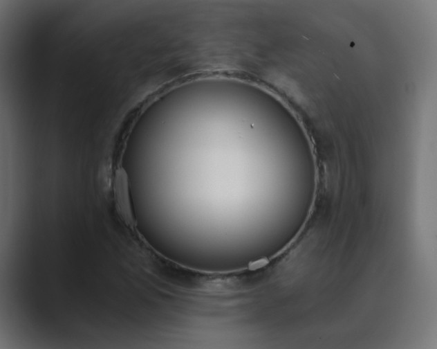 X0000089831165200706281206