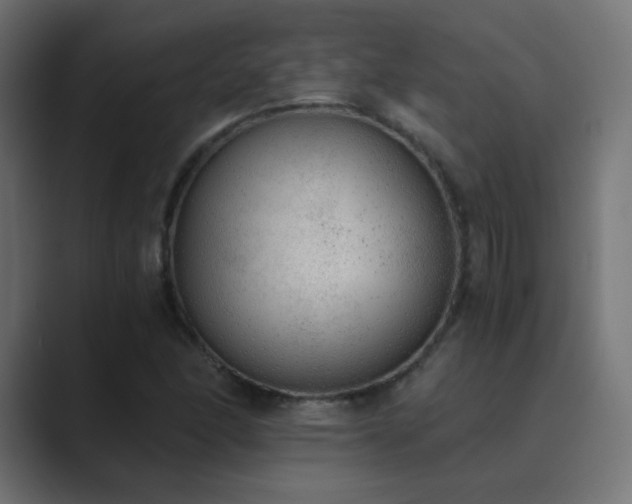 X0000089831166200706281206
