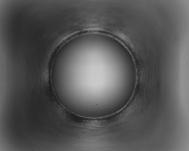X0000089831167200706281206