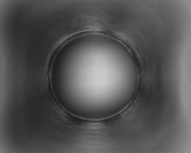 X0000089831168200706281206