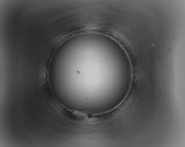 X0000089831169200706281206