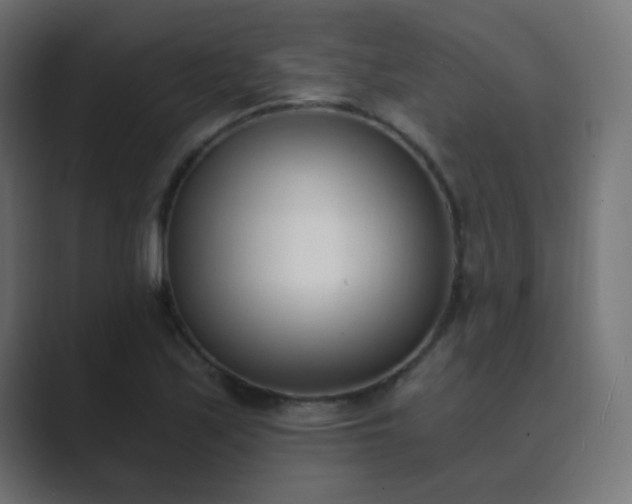 X0000089831171200706281206