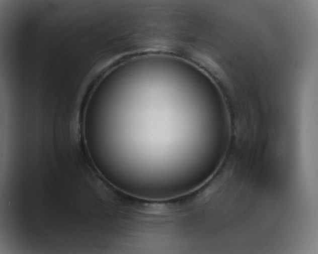 X0000089831172200706281206
