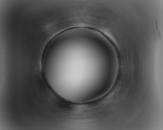 X0000089831173200706281206