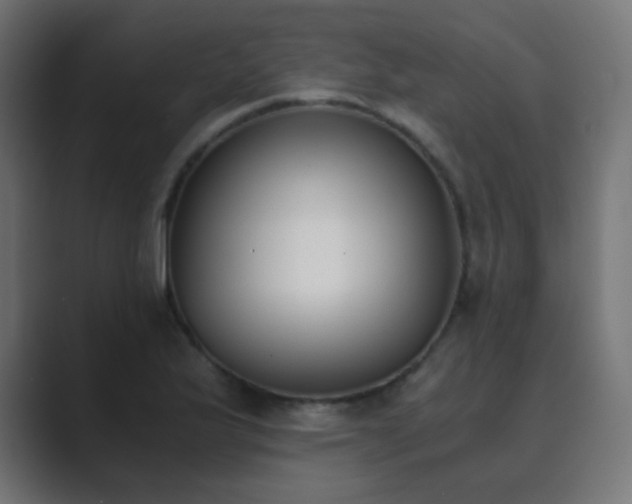 X0000089831175200706281206