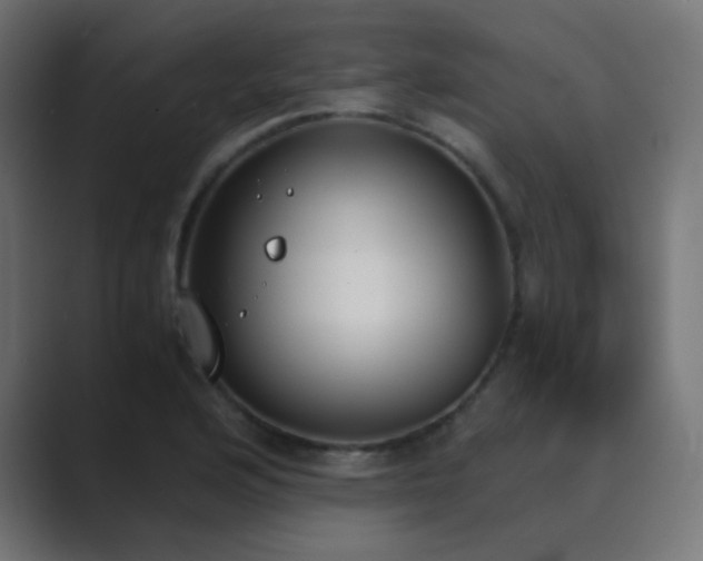 X0000089831176200706281206