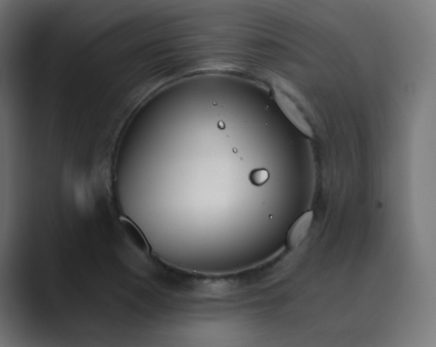 X0000089831177200706281206
