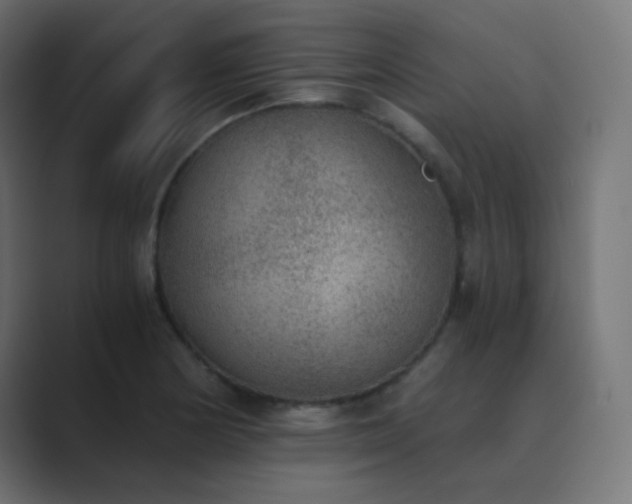X0000089831178200706281206