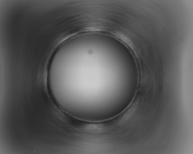 X0000089831179200706281206