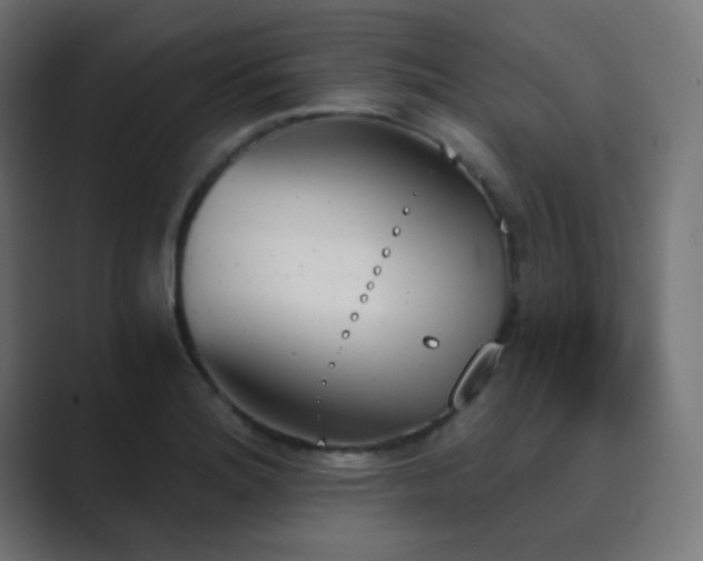X0000089831180200706281206