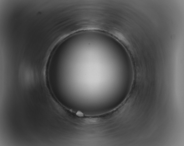 X0000089831181200706281206