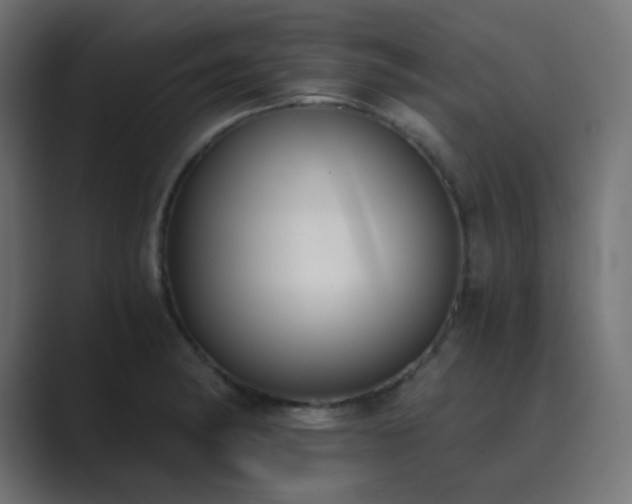 X0000089831182200706281206