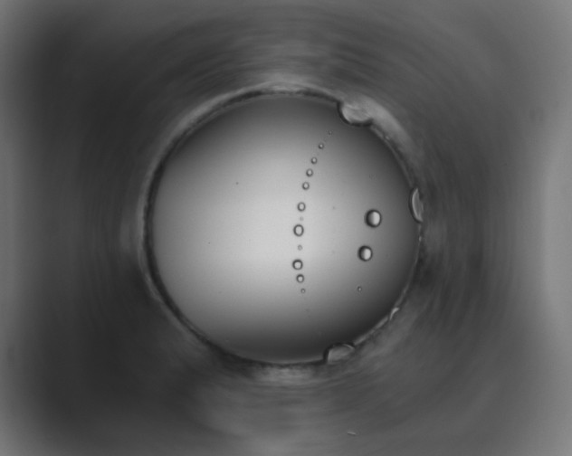 X0000089831183200706281206