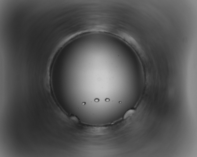 X0000089831184200706281206