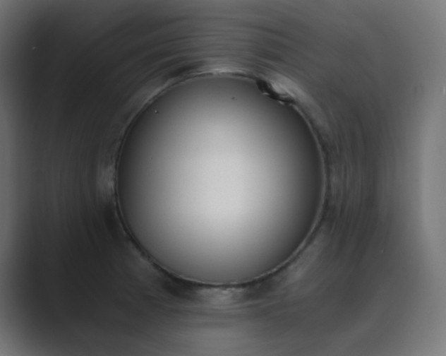 X0000089831185200706281206