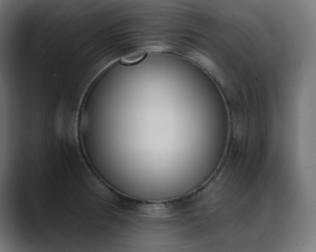 X0000089831186200706281206