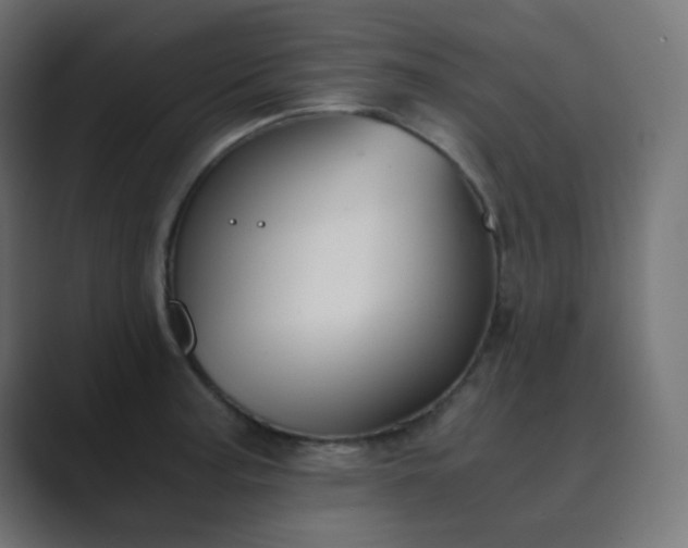 X0000089831187200706281206