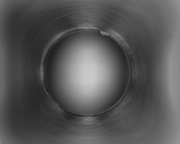 X0000089831188200706281206