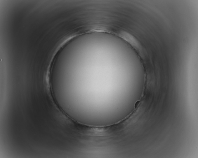 X0000089831190200706281206