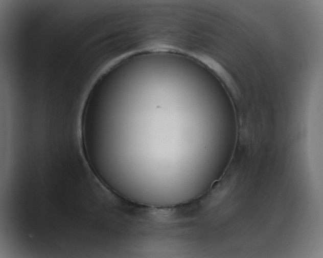 X0000089831191200706281206