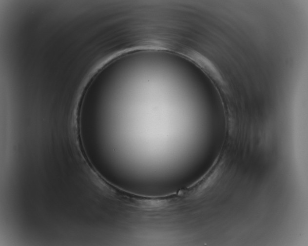 X0000089831192200706281206
