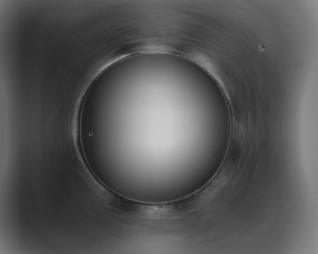 X0000089831195200706281206