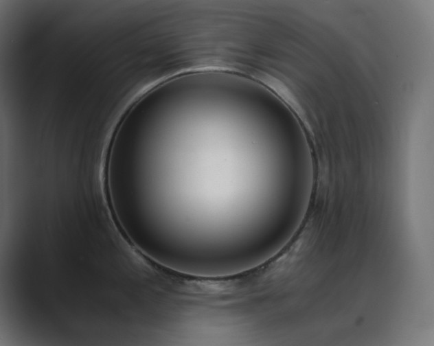 X0000089831197200706281206