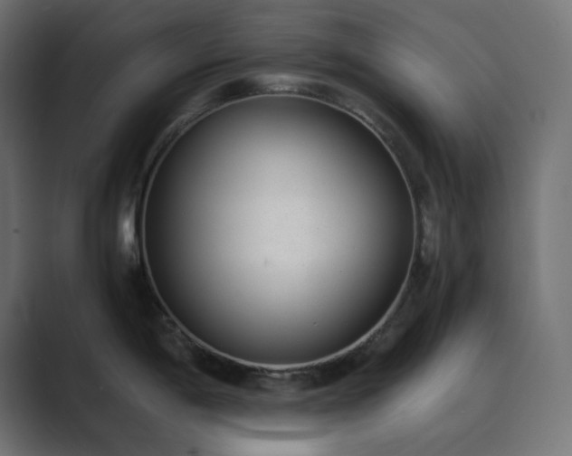 X0000089831198200706281206