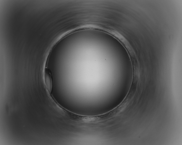 X0000089831199200706281206
