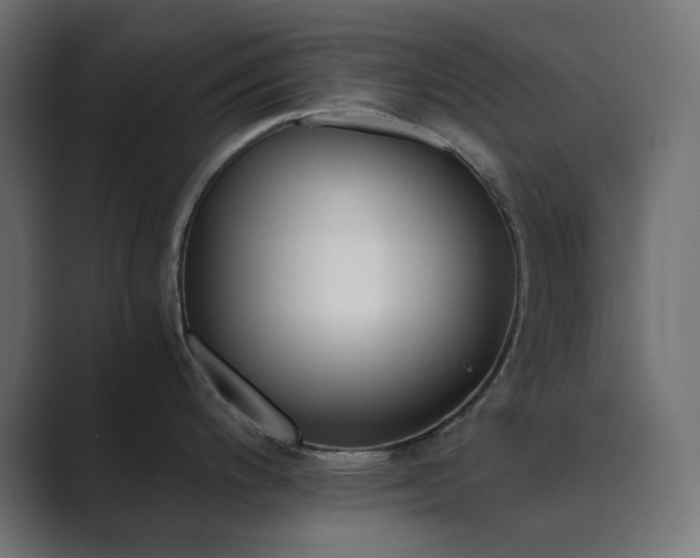 X0000089831200200706281206