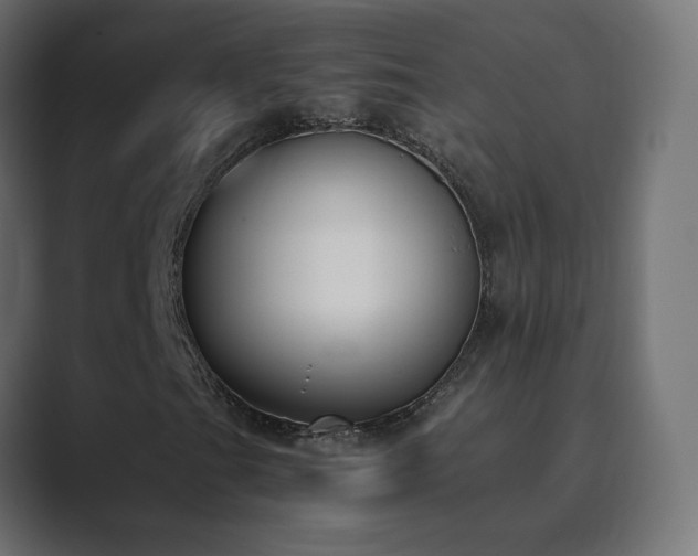 X0000089831201200706281205