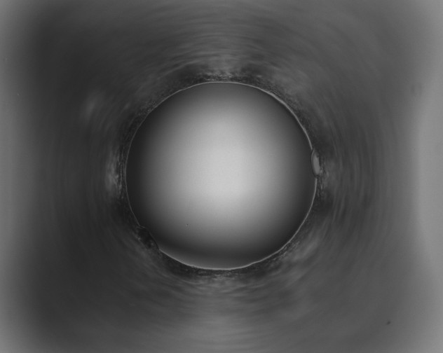 X0000089831202200706281205